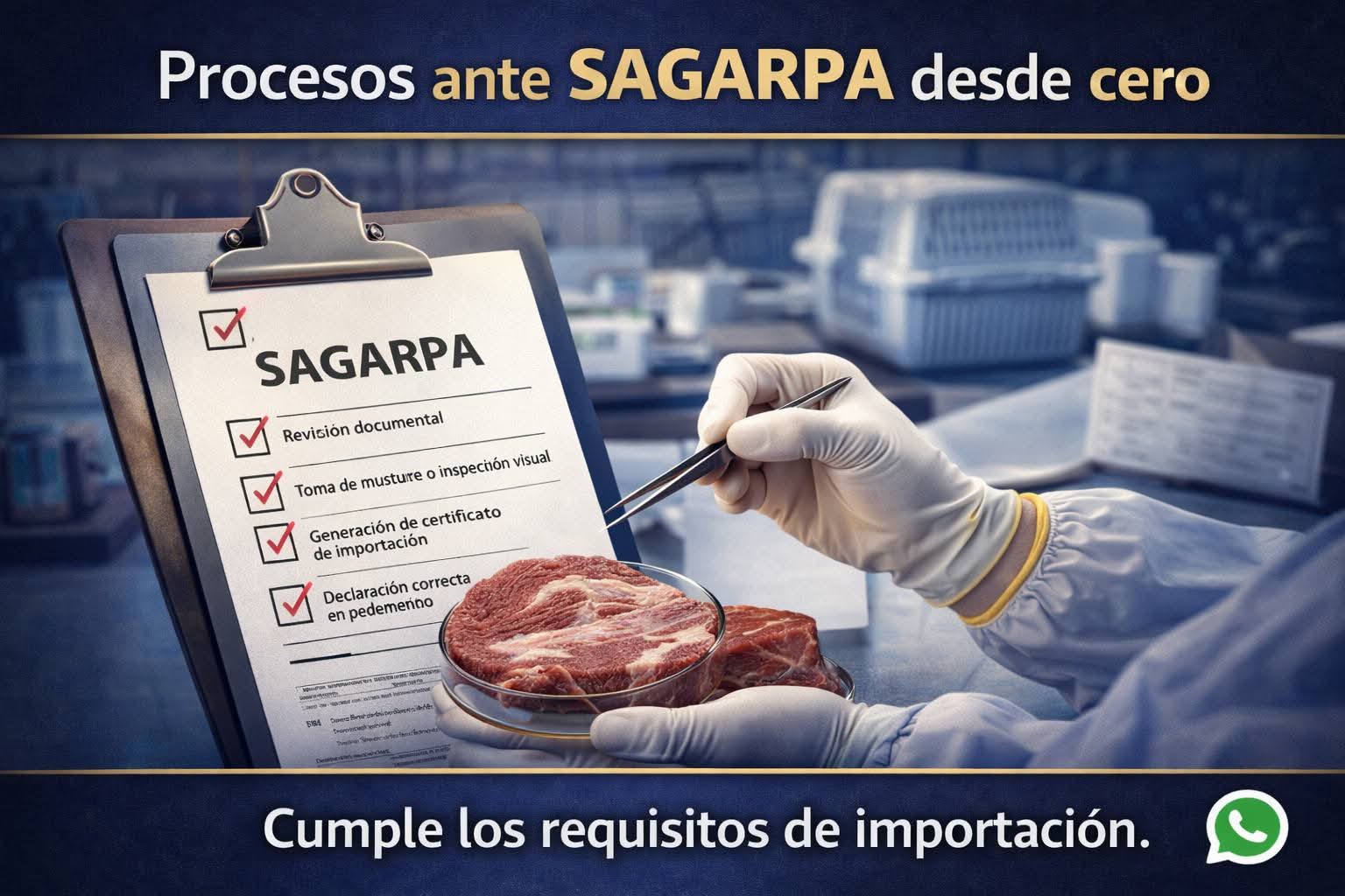 Procesos ante SAGARPA desde cero